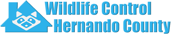 Hernando County Wildlife and Animal Removal